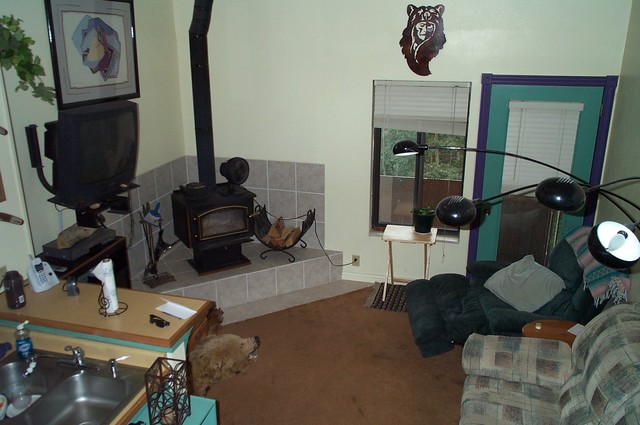 Condo Living Room