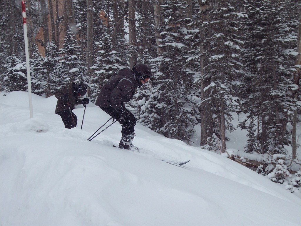 Jackson dropping in