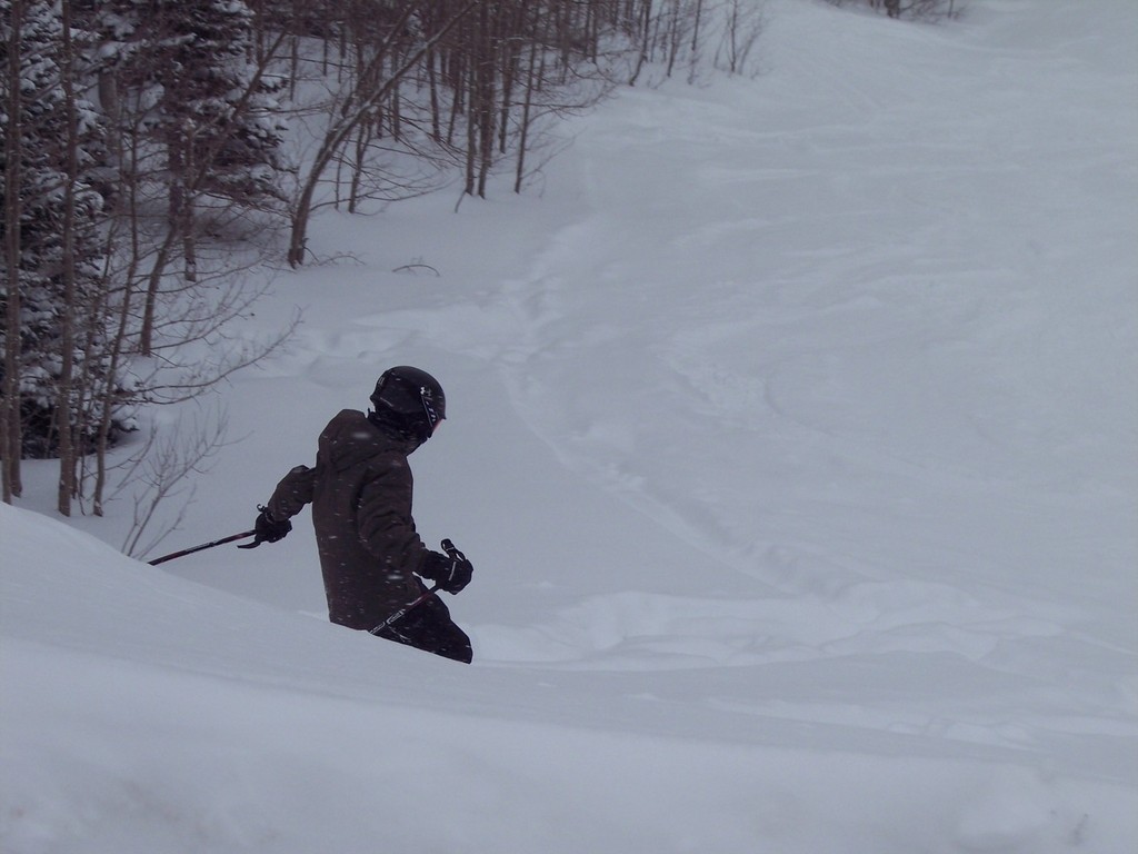 Jake skiing Pow