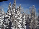 Brian Head looking out condo window