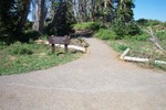 Chessman Ridge Overlook - Elev. 10460