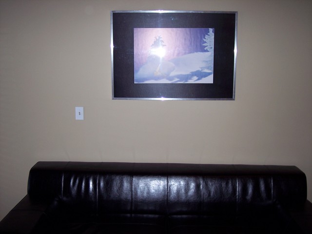 Picture Over Sofa