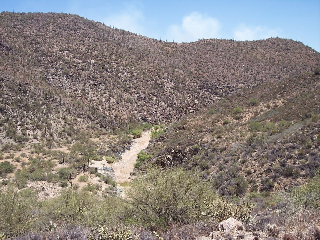 Black Canyon
