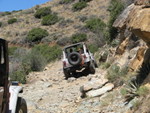 Tom's Wrangler
