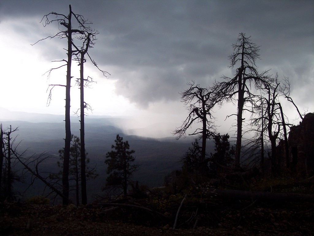 rain clouds coming in over the rim