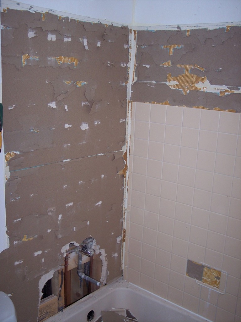 Condo Downstairs Bathroom