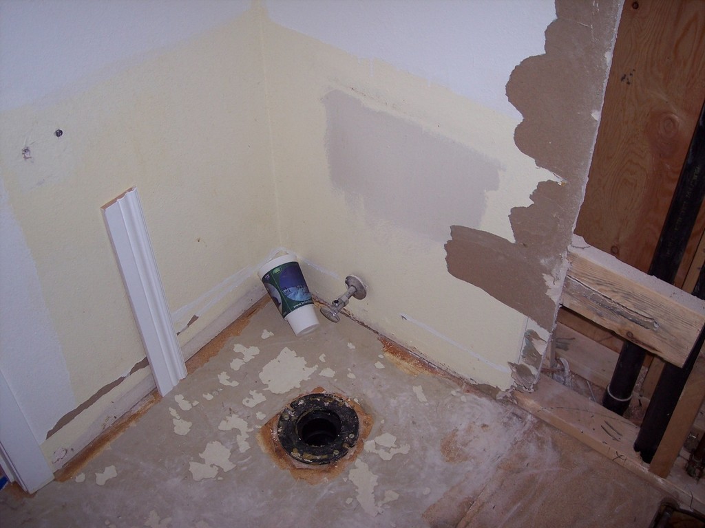 Condo Downstairs Bathroom