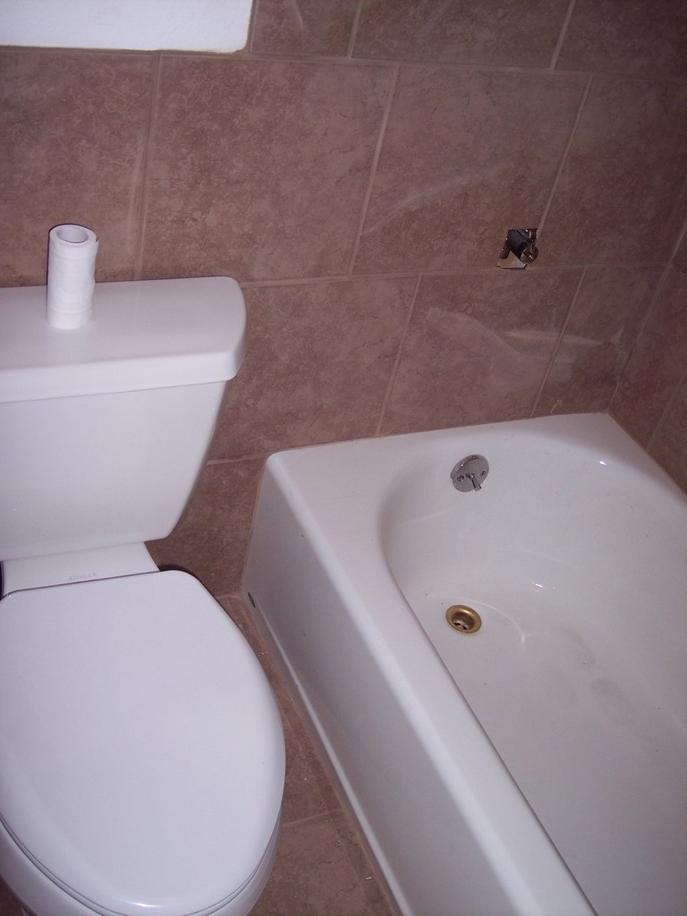 Toilet and Shower