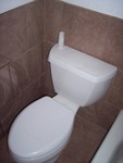 Toilet and tile